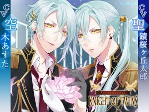 [RE197547] KNIGHT OF TWINS