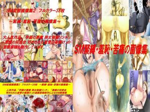 [RE202212] S&M Hentai Collection 1-3 Bundle [FULL COLOR 112 CGs]
