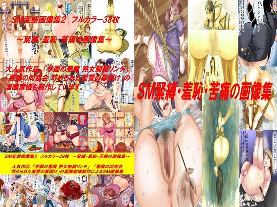 S&M Hentai Collection 1-3 Bundle [FULL COLOR 112 CGs]
