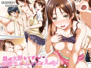 [RE206120] Lovey-Dovey Sex With An Elder Sister Who Loves Brother Too Much!