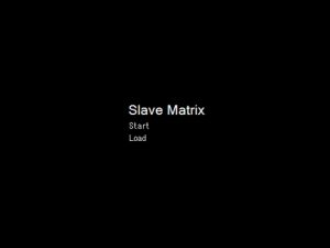 [RE222368] Slave Matrix