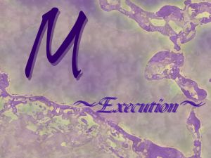 [RE229182] M ~Execution~