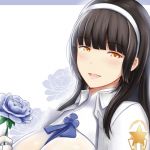 [RE230891] The Custom of Admiring Flowers – D*lls Frontline Type-95 [Chinese Edition]