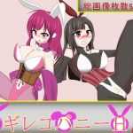 [RE237868] MagiReco Bunny Ecchi 2