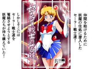 [RE250885] Sailor Warrior’s Struggle