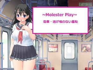 [RE253443] ~Molester Play~ Train – Inescapable Humiliation