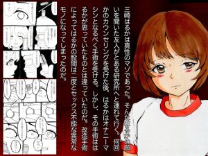 [RE258247] Kaizou Girl – Haruka Misaki