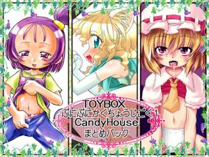 [RE076508] TOYBOX + Punipuni Stretch Hell + CandyHouse
