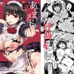 [RE273714] Devil Maid to the End
