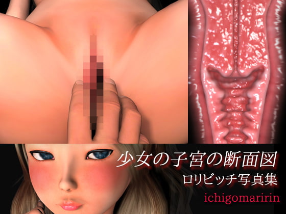 Girl's Womb Cross Section View By MAKE3D