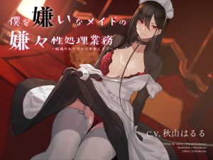 [RE293541] Sexual Service From a Maid That Hates Me
