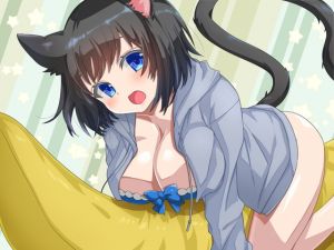 [RE314334] The Lewd with a Black Cat [FANBOX Illustration Collection]