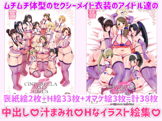 Cinderella Maid Girls Sexual Servicing Illustration Collection 3+4 By sekkijidainotawasi