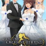 [VJ01000700] Custom Order Maid 3D2&2.5+ X1 / 【英語版】カスタムオーダーメイド3D2＆2.5+ X1